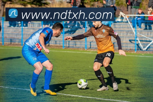 雅博app发展历程